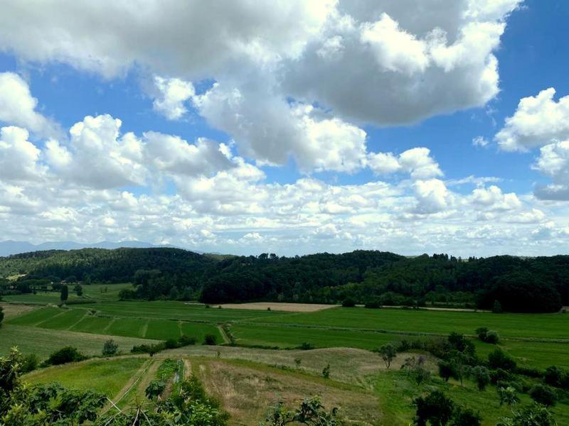 Agriturismo Fonte Belvedere Lejlighed Collesalvetti Eksteriør billede