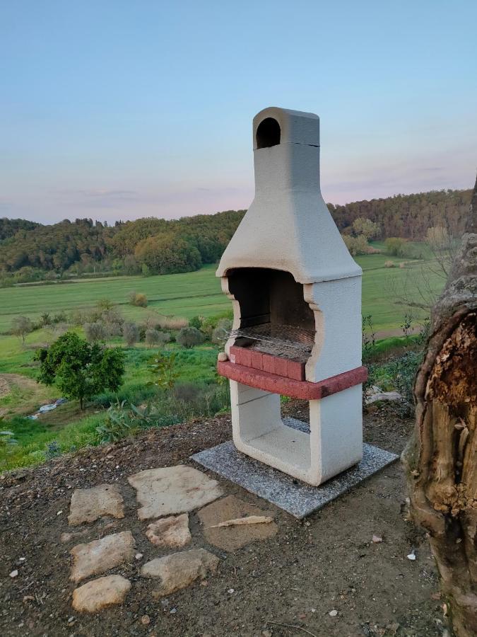 Agriturismo Fonte Belvedere Lejlighed Collesalvetti Eksteriør billede